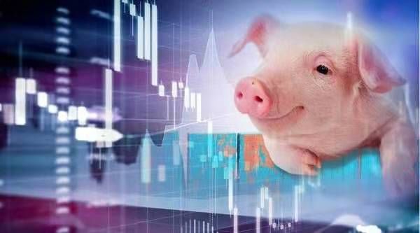 节后'三连涨'发改委最新表态 本周投放第二批猪肉储备 后续价格怎么走？